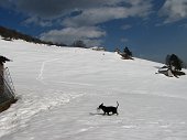 47 Kant  fa racccolta differenziata